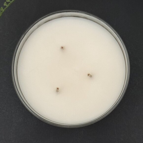 BBW Frozen Lake Bath & Body Works 3 Wick Candle - Picture 7 of 10